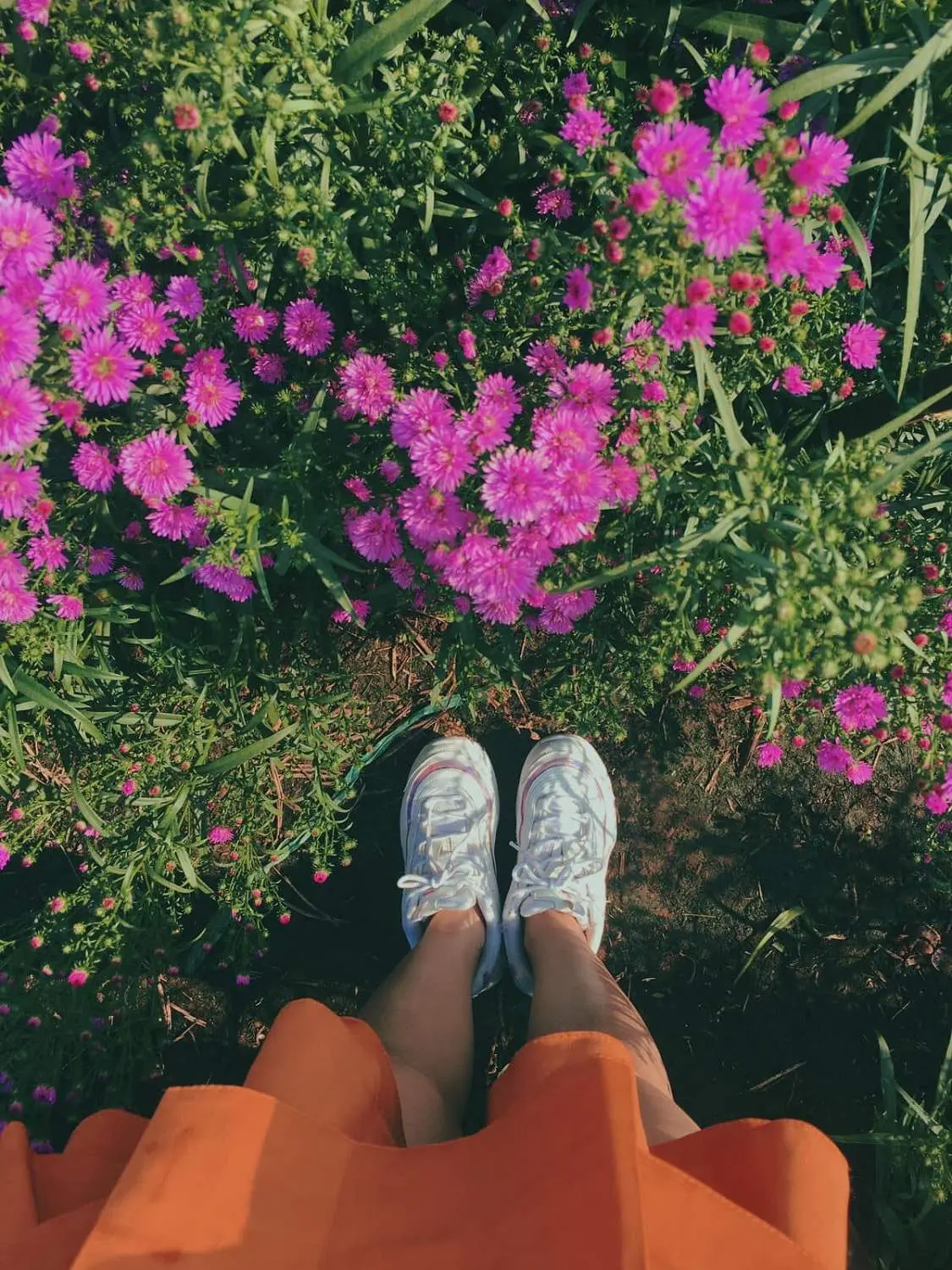 Ơ hay! Một ng&agrave;y ở Vũng T&agrave;u cũng được trải nghiệm nhiều điều th&uacute; vị thế cơ &agrave; 10