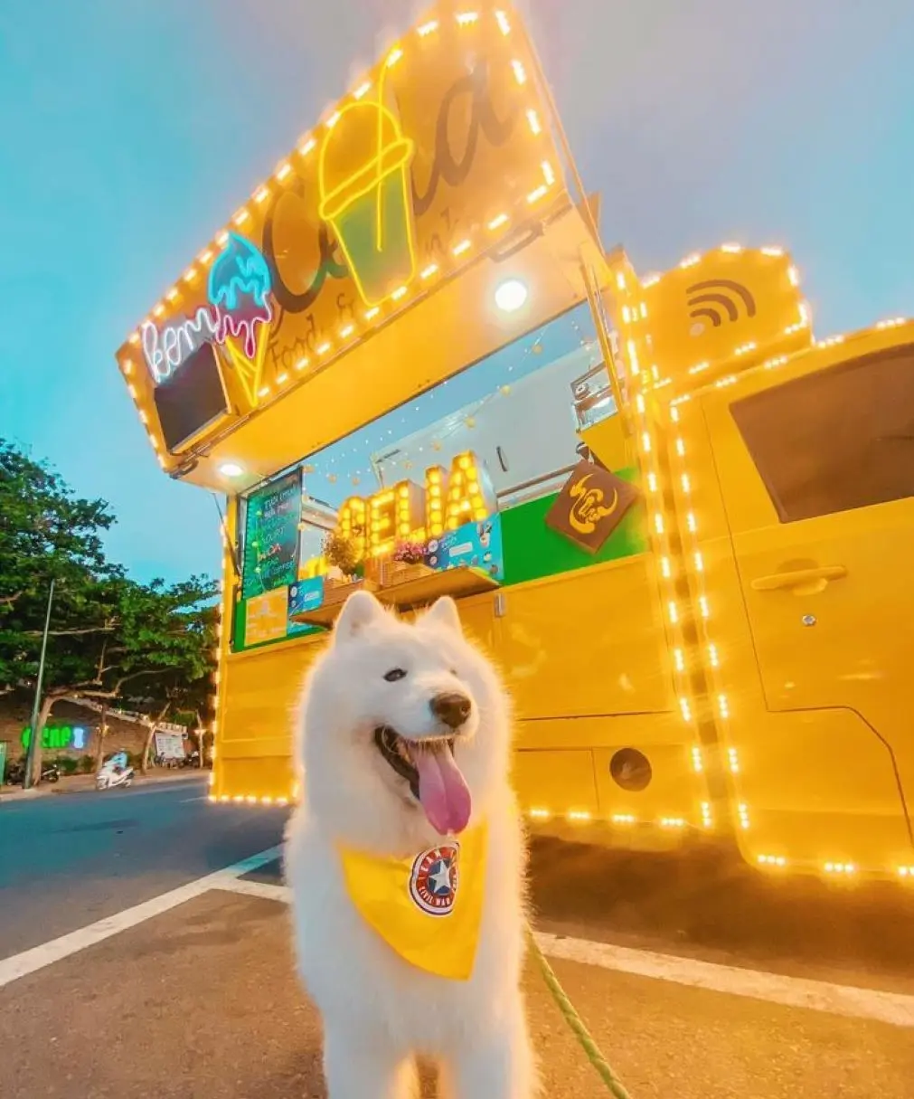 Review Vũng Tàu 2 ngày 1 đêm check-in toàn điểm hot cùng pet cưng 9