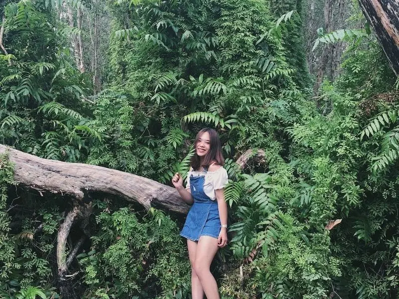 Rừng quốc gia Bình Châu, vẻ đẹp của khu rừng nguyên sinh ven biển 6
