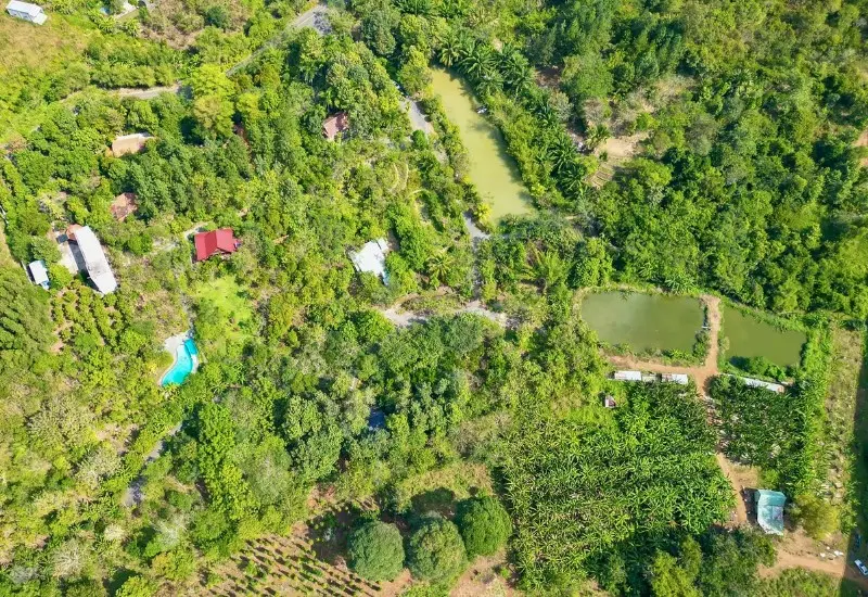 Suối Rao Ecolodge: Nơi t&igrave;m lại sự an y&ecirc;n, thư gi&atilde;n nhất 2