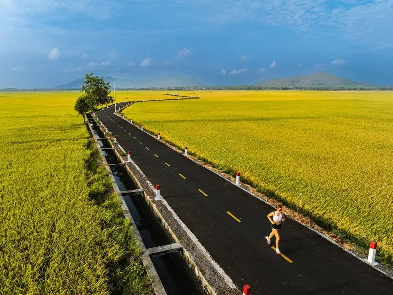 Thảo thơm hương đồng nội nơi C&aacute;nh đồng An Nhứt nổi tiếng Vũng T&agrave;u 2
