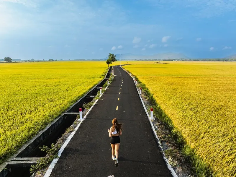 Thảo thơm hương đồng nội nơi C&aacute;nh đồng An Nhứt nổi tiếng Vũng T&agrave;u 3
