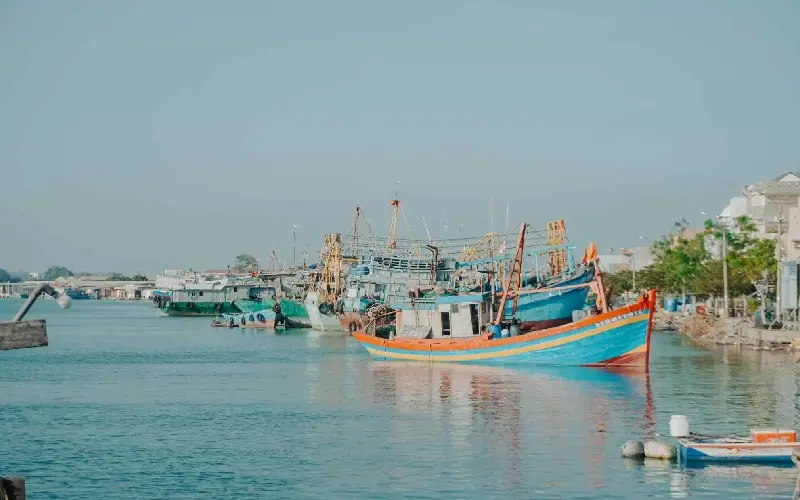 Trải nghiệm l&agrave;ng ch&agrave;i Phước Hải trăm tuổi b&ecirc;n biển Vũng T&agrave;u 5