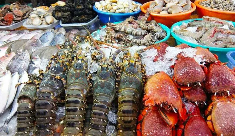 Trốn n&oacute;ng tại khu du lịch San H&ocirc; Xanh c&oacute; b&atilde;i biển đẹp nhất Vũng T&agrave;u 7