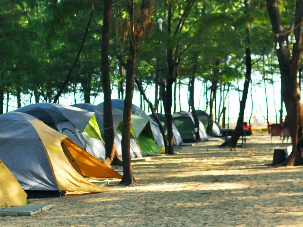 Kinh nghiệm đi cắm trại Vũng T&agrave;u tự t&uacute;c từ A đến Z 8
