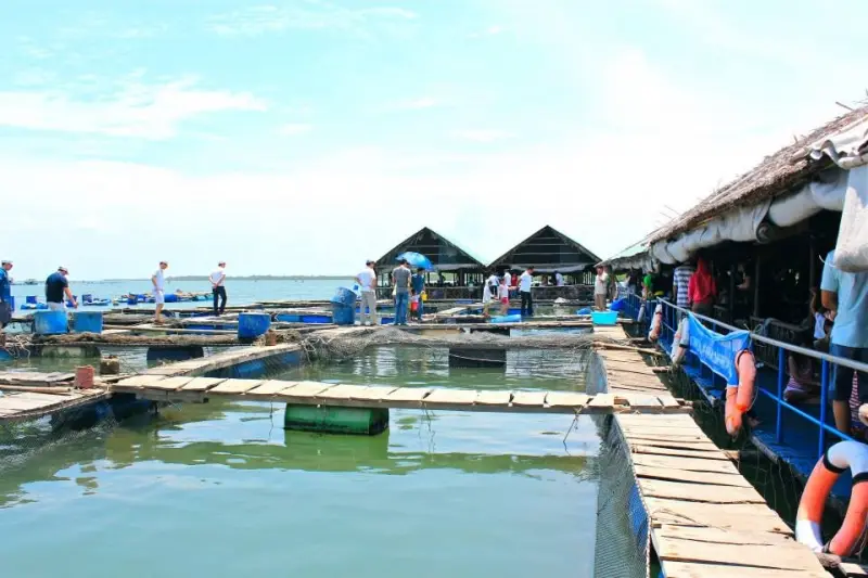 Kinh nghiệm đi Vũng T&agrave;u d&agrave;nh cho c&aacute;c cặp đ&ocirc;i từ A đến Z 3