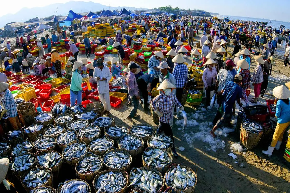 Kinh nghiệm tránh bị chặt chém khi đi Vũng Tàu không phải ai cũng biết
