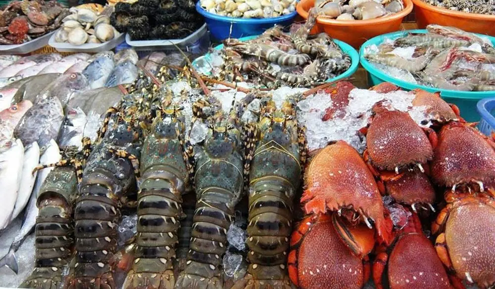Gợi &yacute; chi tiết lịch tr&igrave;nh kh&aacute;m ph&aacute; Hồ Tr&agrave;m Hồ Cốc 2N1Đ 8