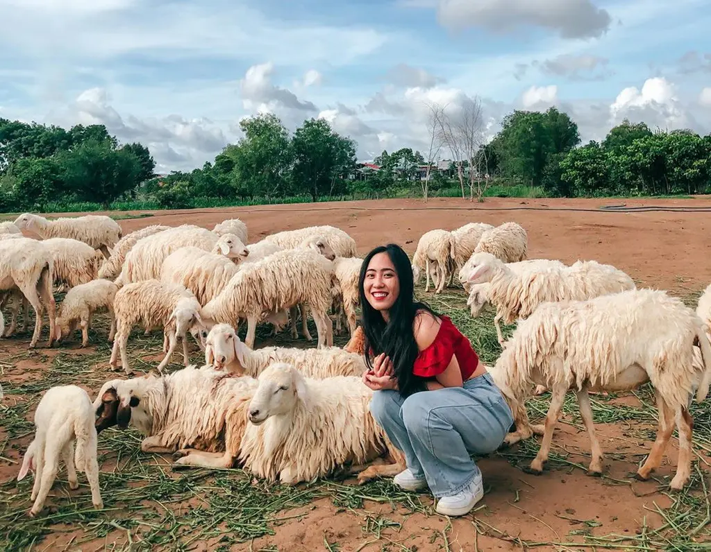 Gợi &yacute; chi tiết lịch tr&igrave;nh Vũng T&agrave;u 1 ng&agrave;y &yacute; nghĩa d&agrave;nh cho bạn 3