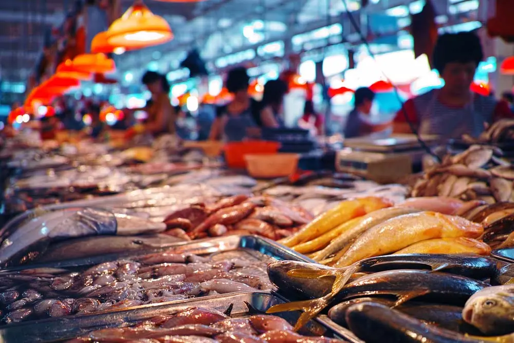 Gợi &yacute; lịch tr&igrave;nh cắm trại b&atilde;i biển Suối Ồ trong 1 ng&agrave;y h&egrave; th&uacute; vị ở Vũng T&agrave;u 3