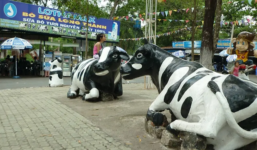 Lịch tr&igrave;nh cắm trại Vũng T&agrave;u 2N1Đ - Cắm trại tr&ecirc;n Mũi Nghinh Phong 10