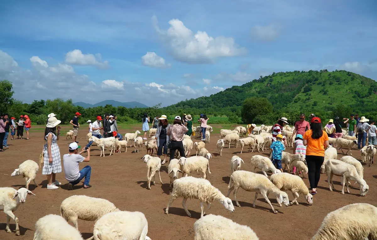 Lịch tr&igrave;nh cắm trại Vũng T&agrave;u 2N1Đ - Cắm trại tr&ecirc;n Mũi Nghinh Phong 2
