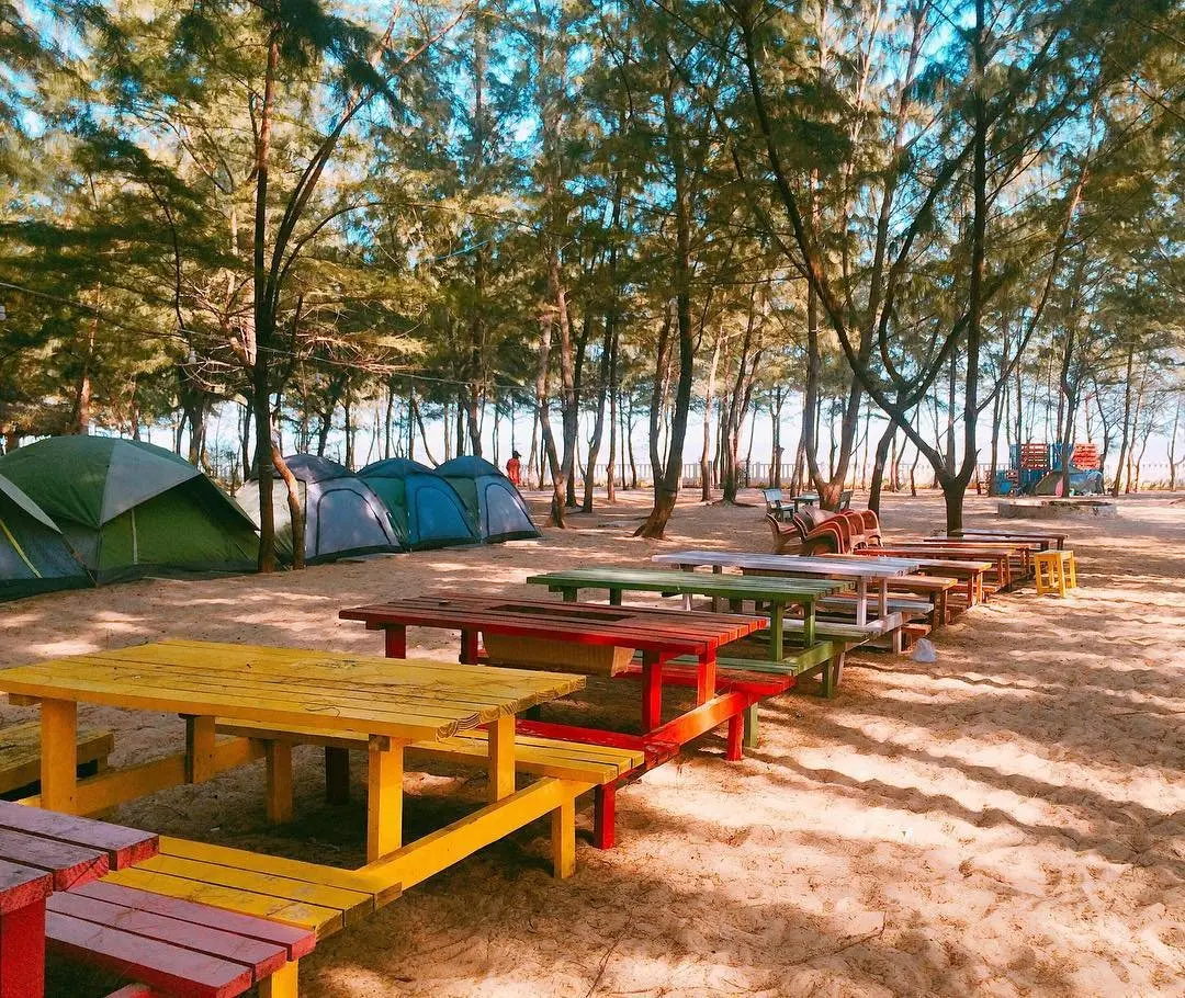 Lịch tr&igrave;nh kh&aacute;m ph&aacute; C&aacute;nh đồng cừu - Zenna Pool Camp trong 1 ng&agrave;y 5