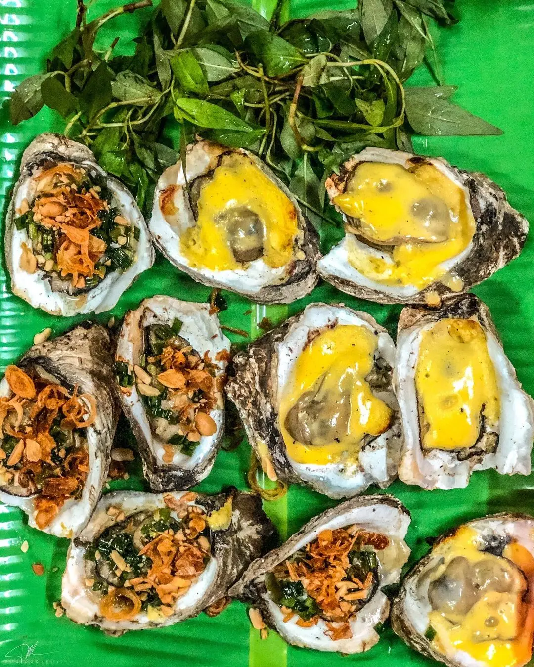 Lịch tr&igrave;nh kh&aacute;m ph&aacute; đảo Long Sơn trong 1 ng&agrave;y - Trải nghiệm cuộc sống ngư d&acirc;n l&agrave;ng b&egrave; 12
