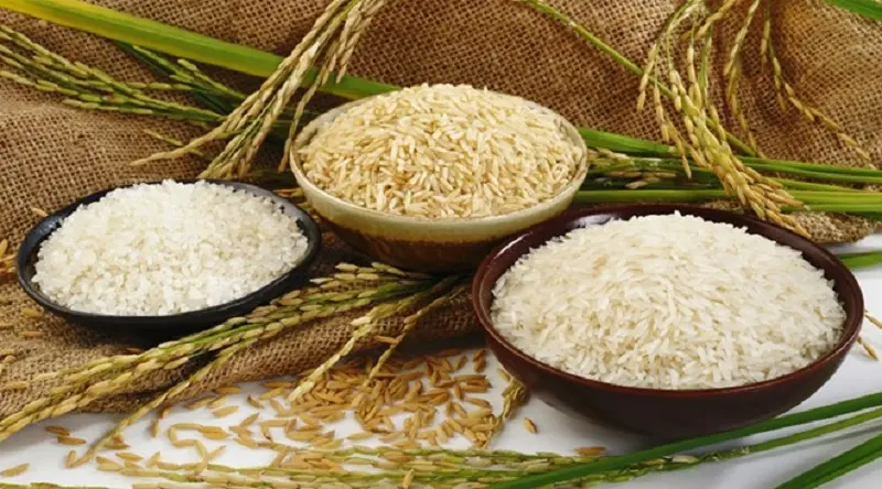 B&aacute;nh chim g&acirc;u Y&ecirc;n B&aacute;i g&acirc;y thương nhớ từ sự đơn giản, mộc mạc nhất 4