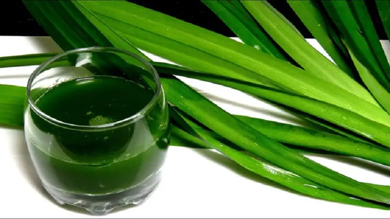 B&aacute;nh chim g&acirc;u Y&ecirc;n B&aacute;i g&acirc;y thương nhớ từ sự đơn giản, mộc mạc nhất 3