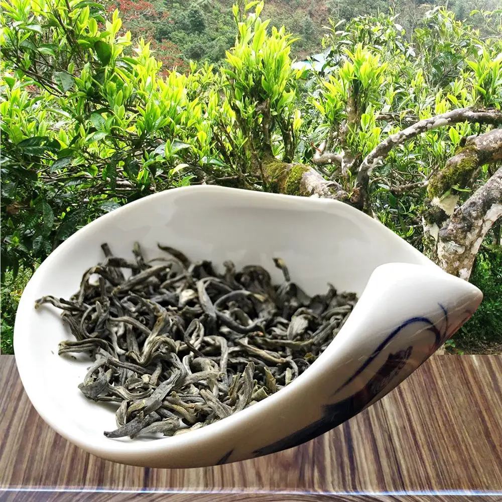 Ch&egrave; Shan tuyết suối Gi&agrave;ng - Thức qu&agrave; từ thi&ecirc;n nhi&ecirc;n 5