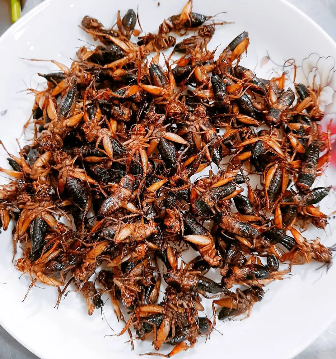 Dế m&egrave;n chi&ecirc;n Y&ecirc;n B&aacute;i - M&oacute;n đặc sản độc lạ rất được l&ograve;ng thực kh&aacute;ch 2