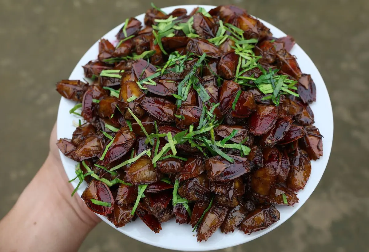 Độc đ&aacute;o Bọ x&iacute;t chi&ecirc;n gi&ograve;n Y&ecirc;n B&aacute;i khi v&agrave;o m&ugrave;a hoa nh&atilde;n 4