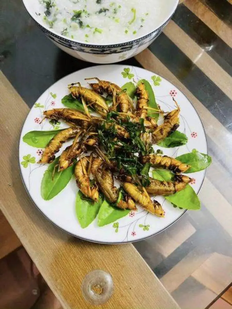 Kh&aacute;m ph&aacute; Muồm muỗm rang Mường L&ograve;, Đặc sản độc đ&aacute;o Y&ecirc;n B&aacute;i 2