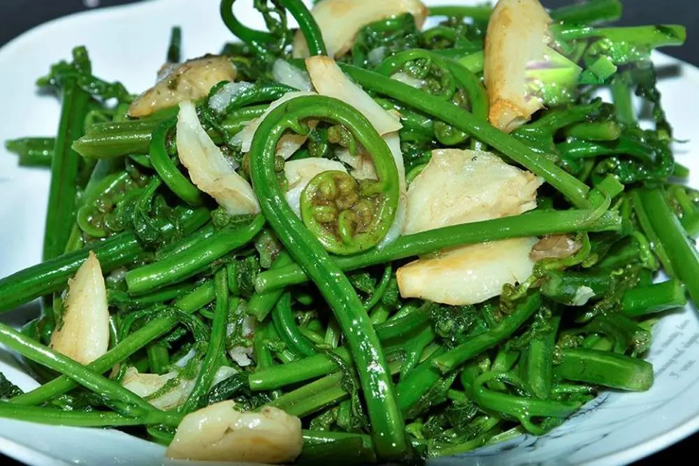 Kh&aacute;m Ph&aacute; Rau Dớn Mường L&ograve; &ndash; Đặc Sản N&uacute;i Rừng T&acirc;y Bắc Kh&ocirc;ng Thể Bỏ Lỡ 5