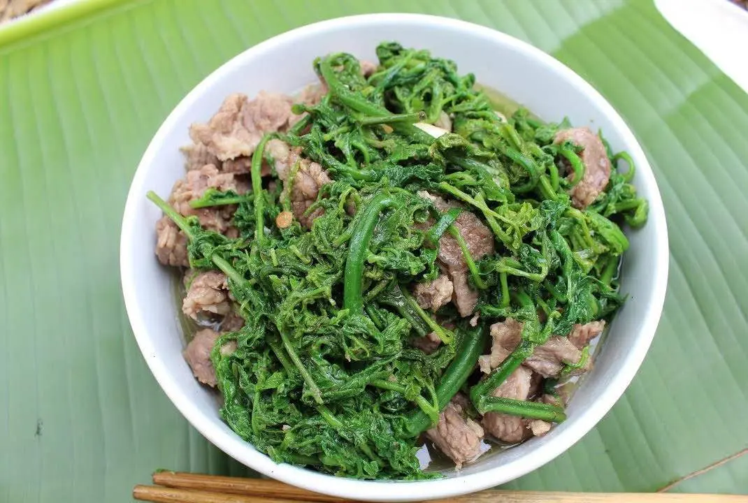 Kh&aacute;m Ph&aacute; Rau Dớn Mường L&ograve; &ndash; Đặc Sản N&uacute;i Rừng T&acirc;y Bắc Kh&ocirc;ng Thể Bỏ Lỡ 7