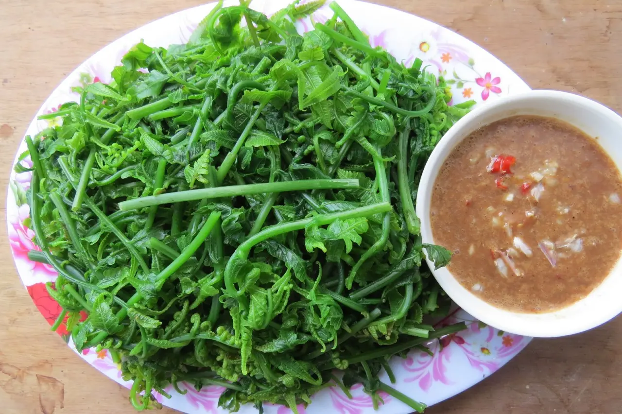 Kh&aacute;m Ph&aacute; Rau Dớn Mường L&ograve; &ndash; Đặc Sản N&uacute;i Rừng T&acirc;y Bắc Kh&ocirc;ng Thể Bỏ Lỡ 3