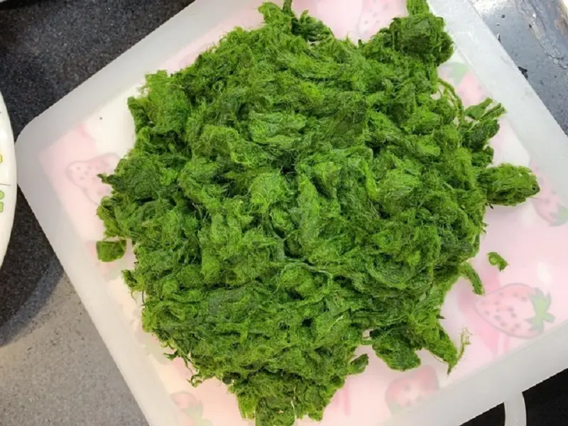 R&ecirc;u suối Mường L&ograve; Y&ecirc;n B&aacute;i v&agrave; sự t&iacute;ch b&ecirc;n d&ograve;ng s&ocirc;ng Thia 3