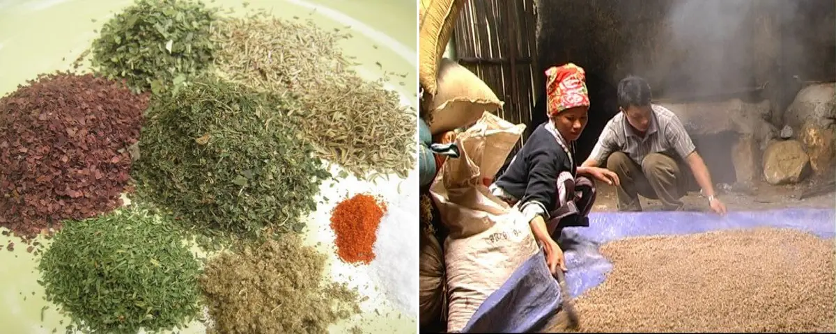 Rượu th&oacute;c La P&aacute;n Tẩn &ndash; Men say &ecirc;m dịu mảnh đất Y&ecirc;n B&aacute;i 3