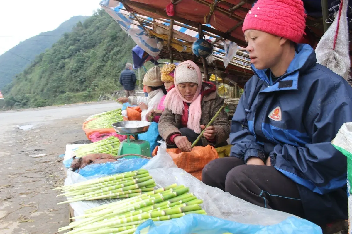 Thưởng thức đặc sản n&uacute;i rừng Măng sặt của v&ugrave;ng đất Y&ecirc;n B&aacute;i 5
