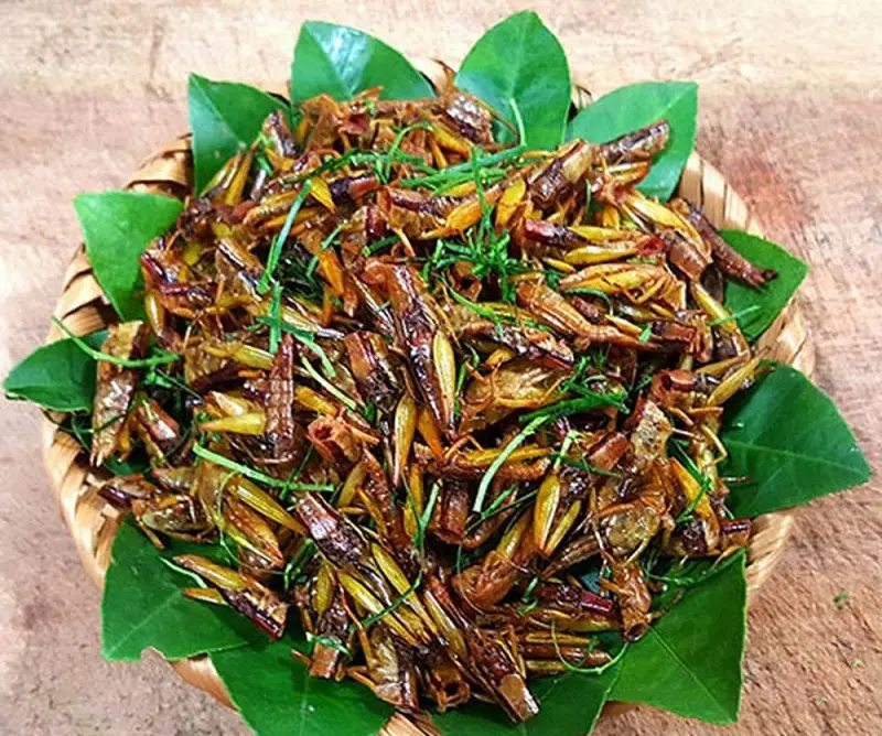 Top 15 đặc sản Yên Bái độc đáo đậm chất núi rừng 8