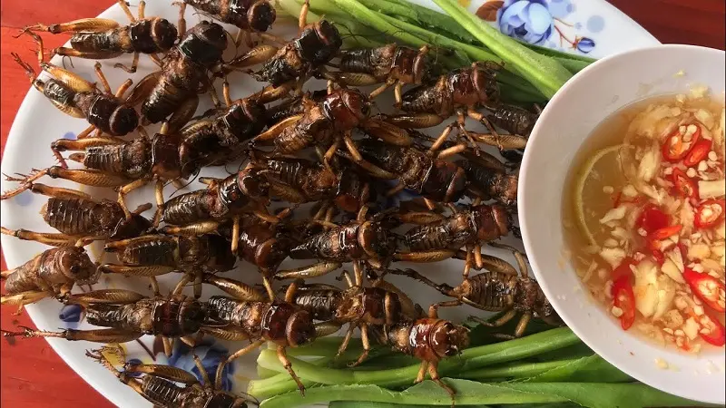 Top 15 đặc sản Yên Bái độc đáo đậm chất núi rừng 5
