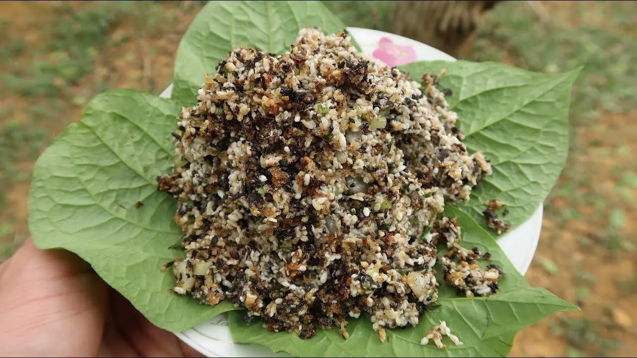 Khám phá đặc sản Trứng kiến Yên Bái - Món ngon không tưởng từ miền Tây Bắc