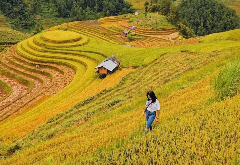 Bỏ t&uacute;i cẩm nang Hướng dẫn di chuyển từ H&agrave; Nội đến Y&ecirc;n B&aacute;i 6