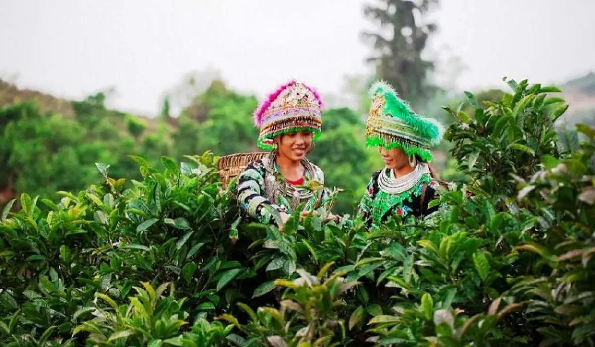 Hướng dẫn di chuyển đến Suối Gi&agrave;ng - Tọa độ sống ảo đẹp hết lời 3