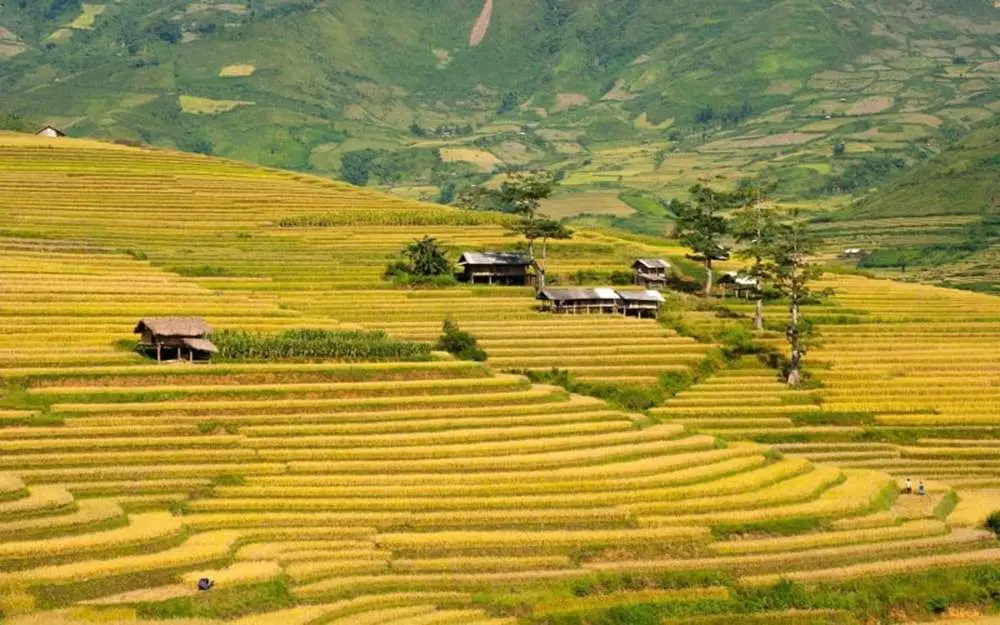 Kinh nghiệm v&agrave; Hướng dẫn di chuyển đến T&uacute; Lệ 2