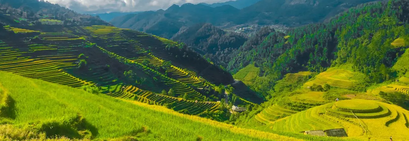Chinh phục Mù Cang Chải 2N1Đ vào mùa vàng đẹp như tranh vẽ