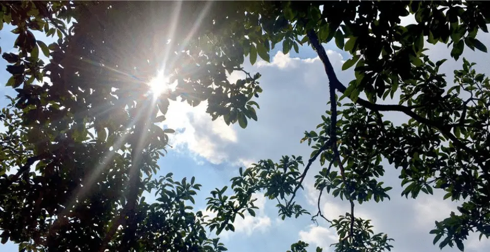Đ&atilde; đến Y&ecirc;n B&aacute;i, sao c&oacute; thể qu&ecirc;n Review T&agrave; Ch&igrave; Nh&ugrave; 6
