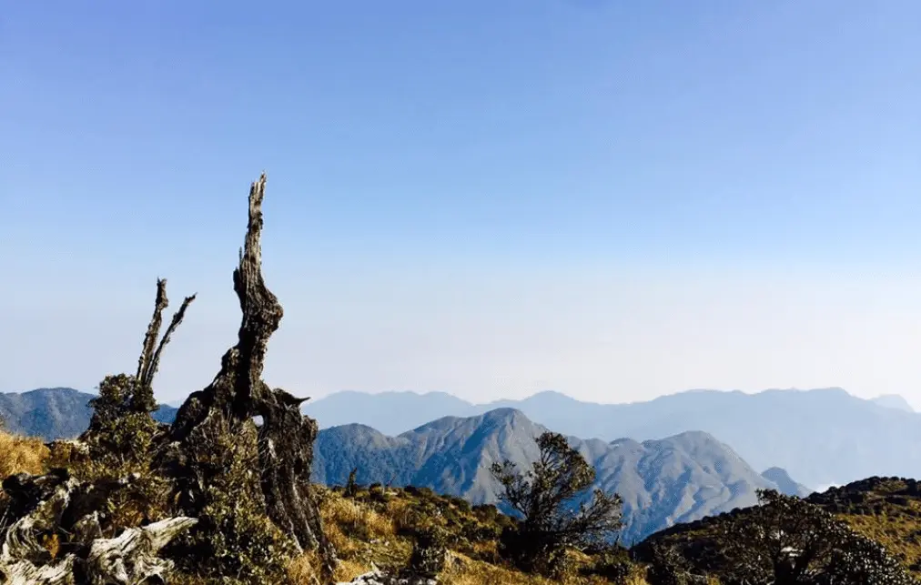 Đ&atilde; đến Y&ecirc;n B&aacute;i, sao c&oacute; thể qu&ecirc;n Review T&agrave; Ch&igrave; Nh&ugrave; 5