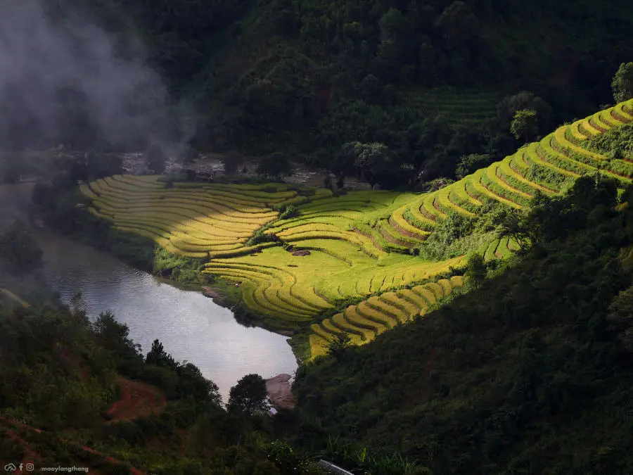 Đến X&iacute;m V&agrave;ng kh&aacute;m ph&aacute; bức tranh m&ugrave;a v&agrave;ng tuyệt mỹ c&aacute;ch T&agrave; X&ugrave;a chỉ 18km 16