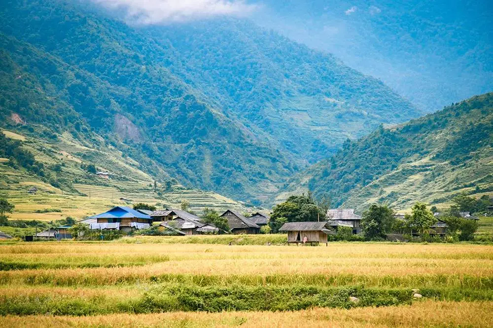 Hương cốm T&uacute; Lệ ng&agrave;y m&ugrave;a - Thức qu&agrave; ch&acirc;n phương của người Th&aacute;i 2