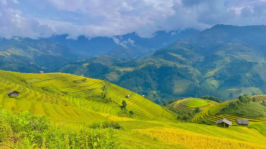 Kh&aacute;m ph&aacute; C&aacute;c thửa ruộng bậc thang M&ugrave; Cang Chải đẹp đắm say 4
