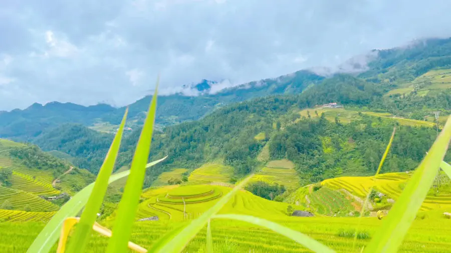 Kh&aacute;m ph&aacute; C&aacute;c thửa ruộng bậc thang M&ugrave; Cang Chải đẹp đắm say 8