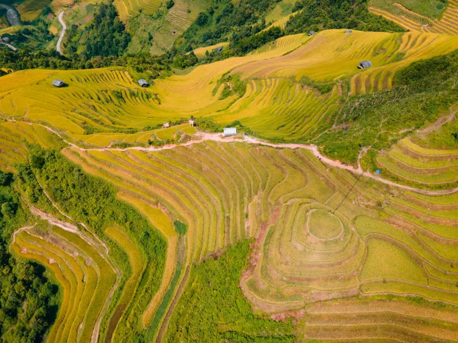 Kh&aacute;m ph&aacute; Đồi M&acirc;m X&ocirc;i B&eacute; tr&ecirc;n đường du lịch M&ugrave; Cang Chải 4