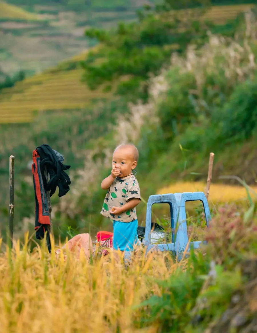 Kh&aacute;m ph&aacute; Đồi M&acirc;m X&ocirc;i B&eacute; tr&ecirc;n đường du lịch M&ugrave; Cang Chải 7