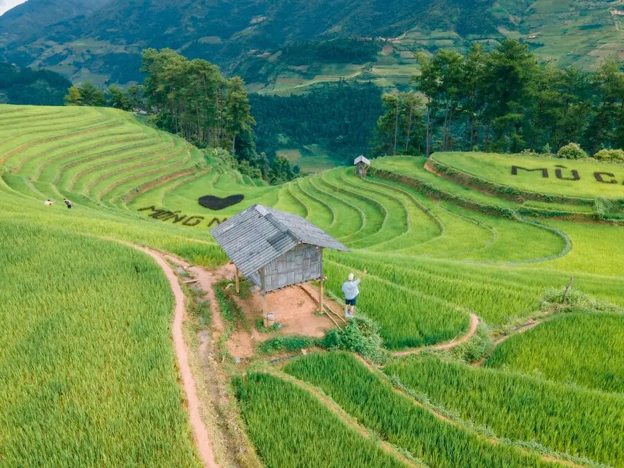Kh&aacute;m ph&aacute; Đồi M&oacute;ng Ngựa, kh&ocirc;ng gian thi&ecirc;n nhi&ecirc;n thanh tao tại M&ugrave; Cang Chải 4