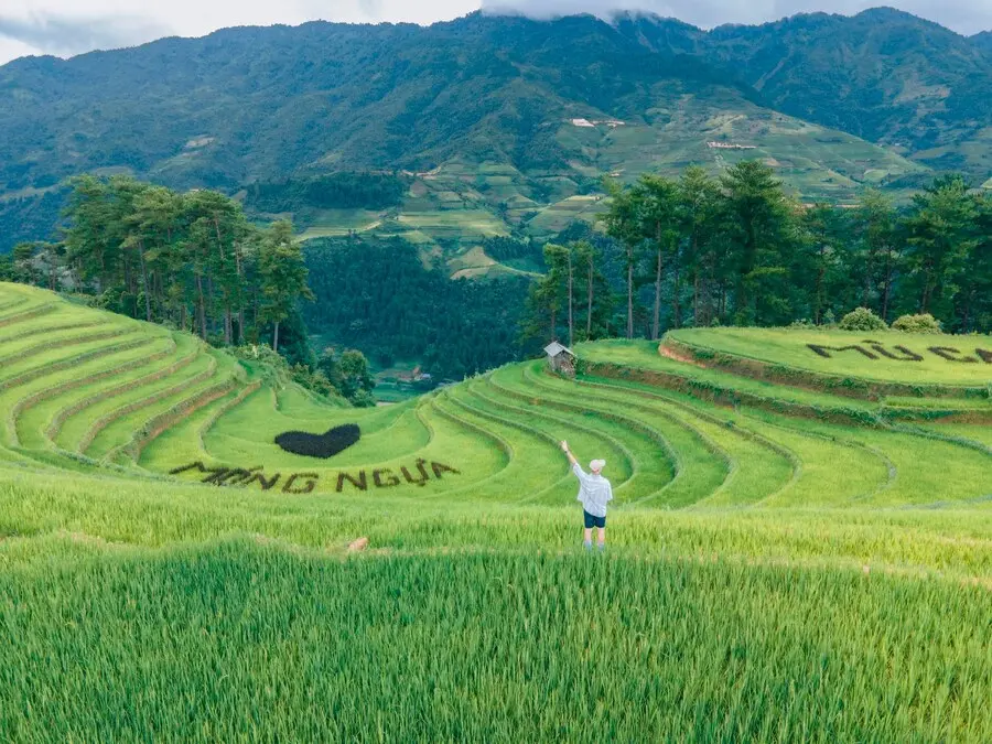 Kh&aacute;m ph&aacute; Đồi M&oacute;ng Ngựa, kh&ocirc;ng gian thi&ecirc;n nhi&ecirc;n thanh tao tại M&ugrave; Cang Chải 7