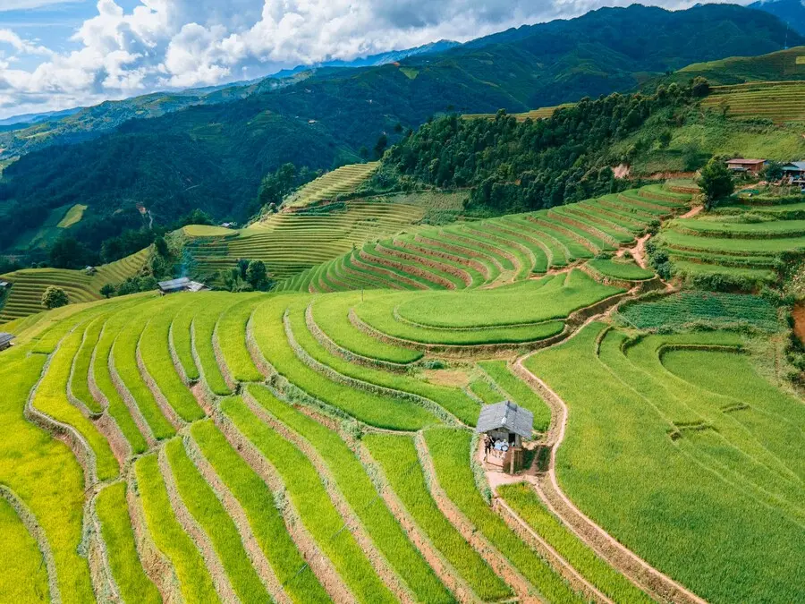 Kh&aacute;m ph&aacute; Đồi M&oacute;ng Ngựa, kh&ocirc;ng gian thi&ecirc;n nhi&ecirc;n thanh tao tại M&ugrave; Cang Chải 5