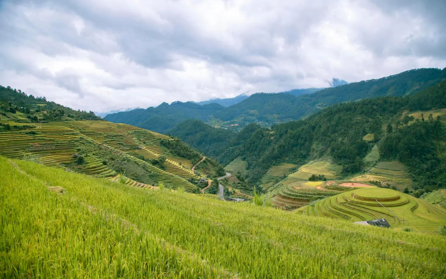 Lang thang M&ugrave; Cang Chải chi&ecirc;m ngưỡng bức tranh l&agrave;ng qu&ecirc; v&ugrave;ng cao đẹp đắm say 7