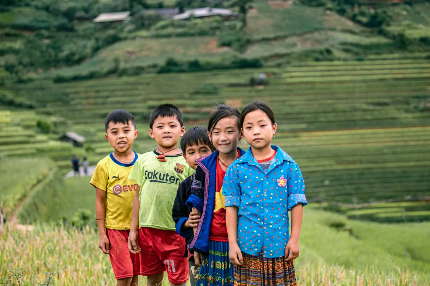 Lang thang M&ugrave; Cang Chải chi&ecirc;m ngưỡng bức tranh l&agrave;ng qu&ecirc; v&ugrave;ng cao đẹp đắm say 6